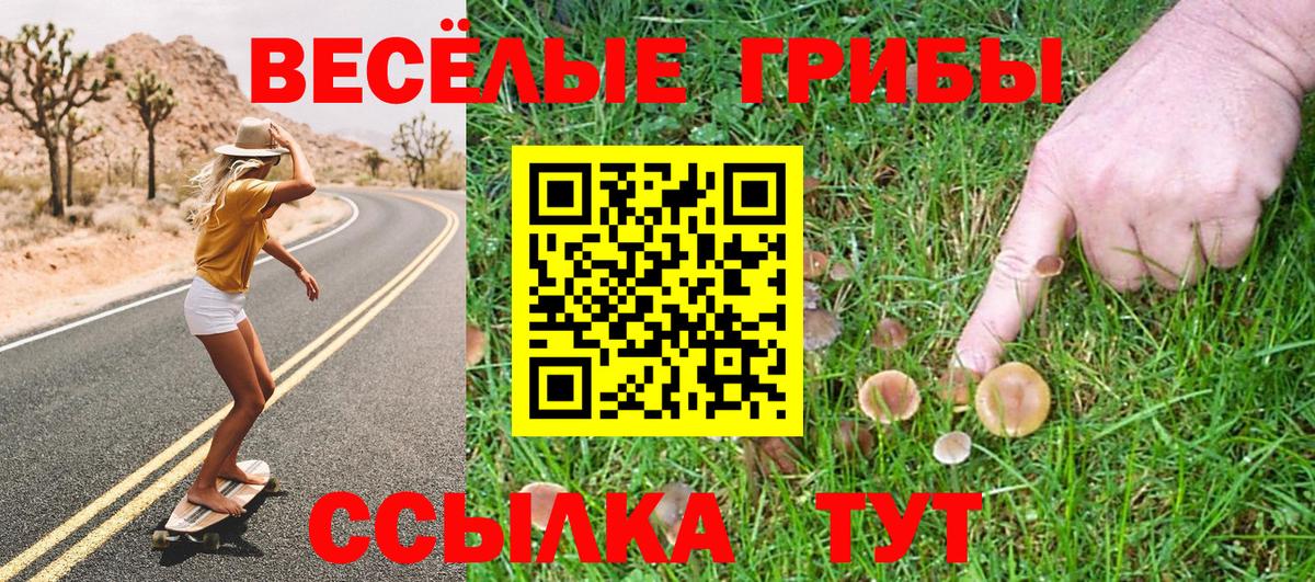 Мелеуз  Псилоцибиновые грибы MAGIC MUSHROOMS  Вход с VPN 